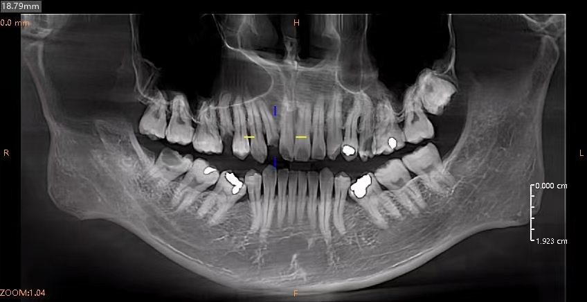 Weixin Image_20260105112156_66_41 Weixin Image_20260105112156_66_41